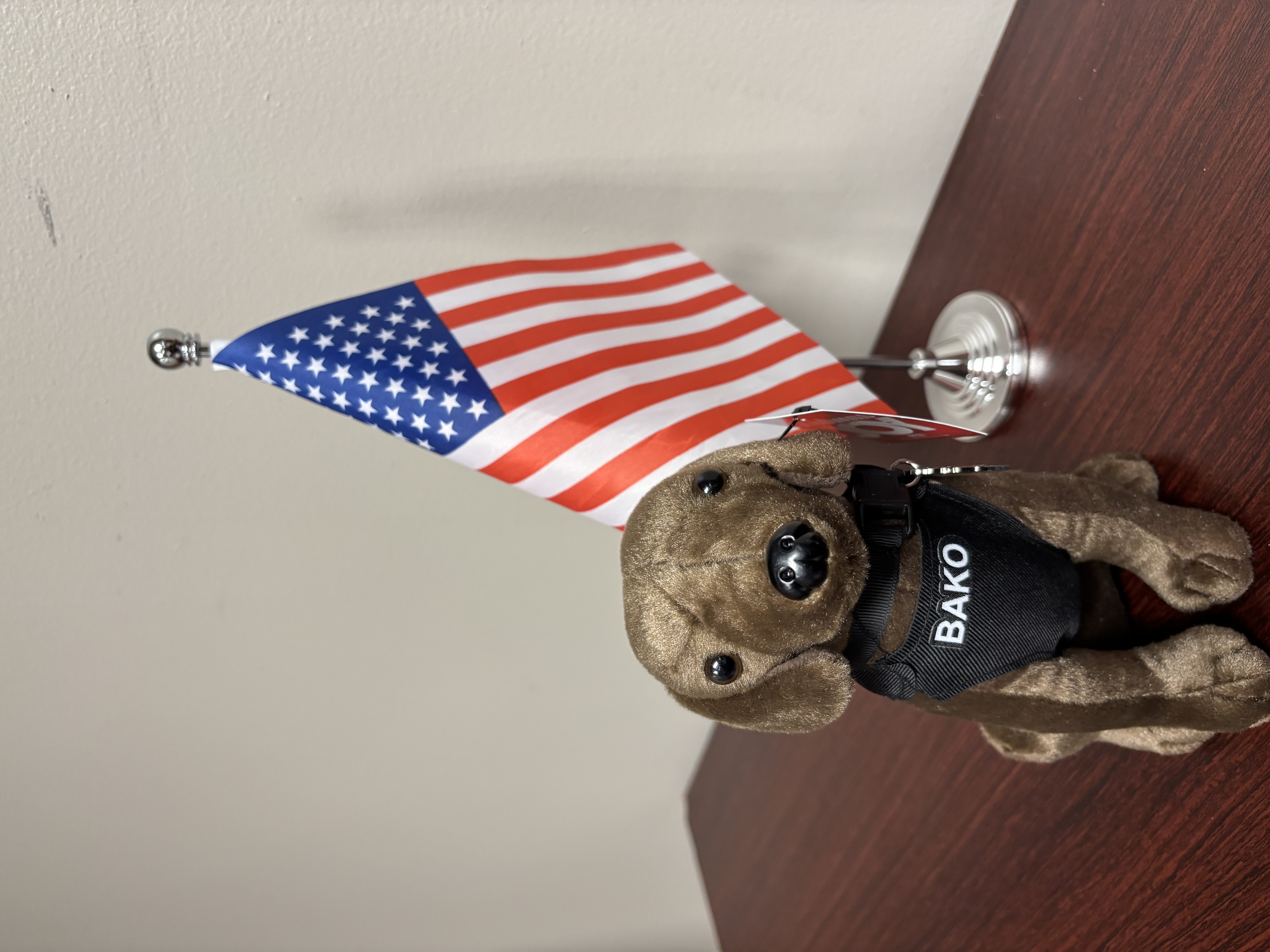 Cherokee County Sheriff's K9 team member