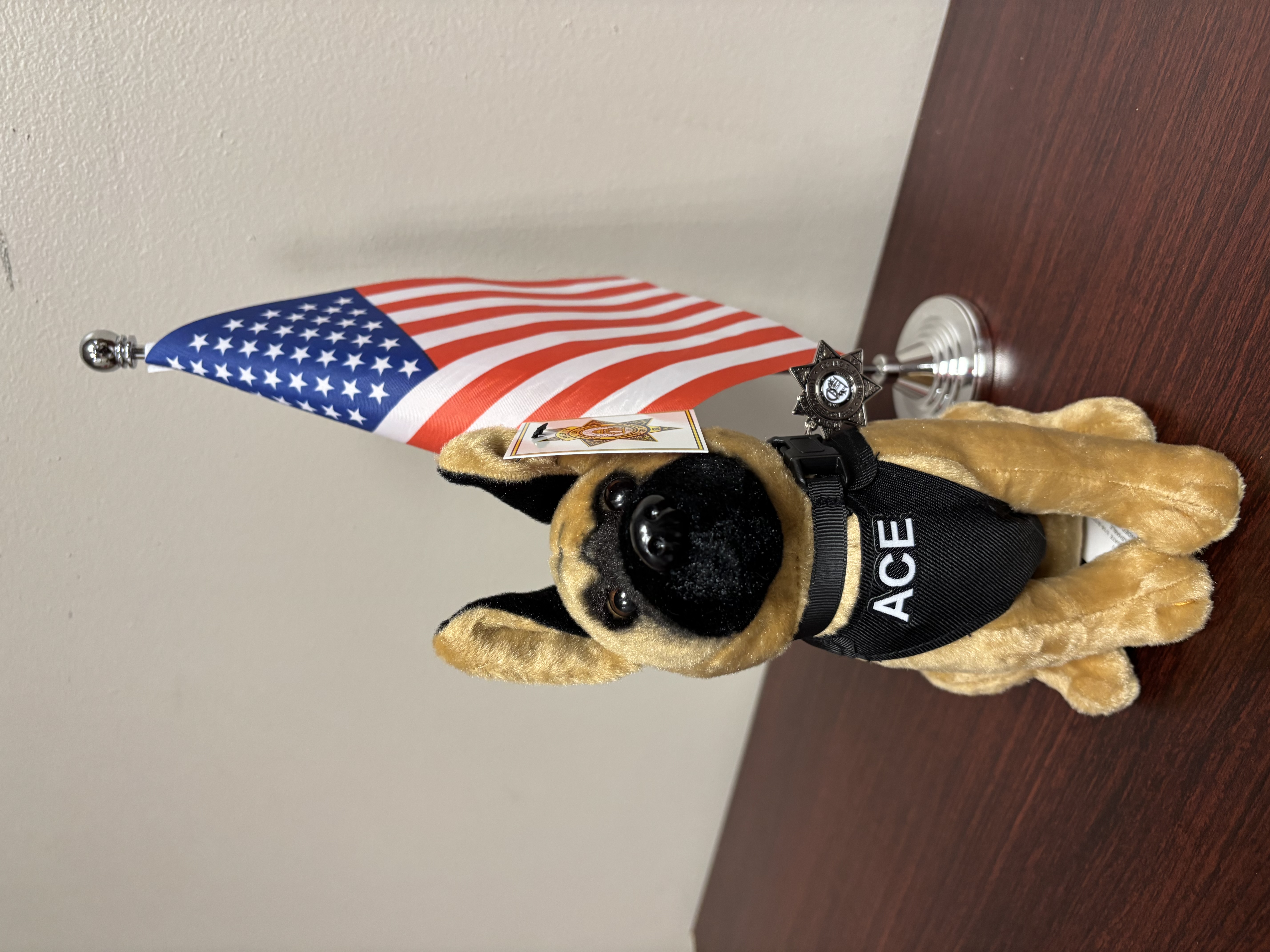 Cherokee County Sheriff's K9 team member